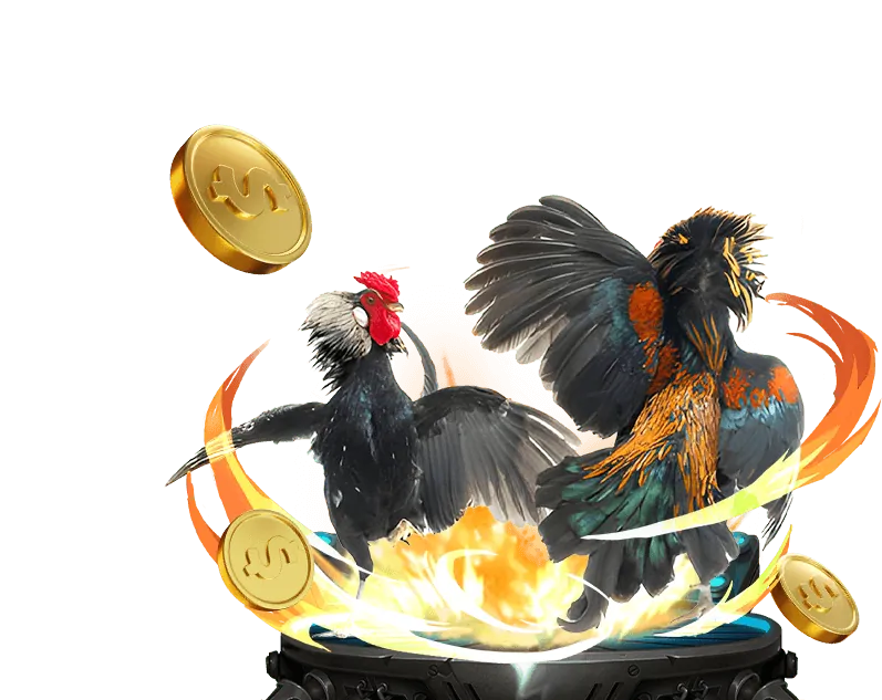 Quy trình rút tiền Mamba123